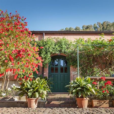 Masseria Pernice モンレアーレ エクステリア 写真